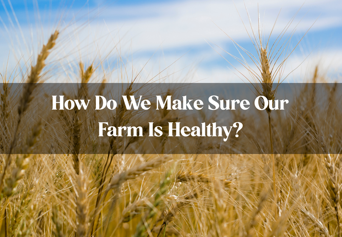 How Do We Make Sure Our Farm Is Healthy?